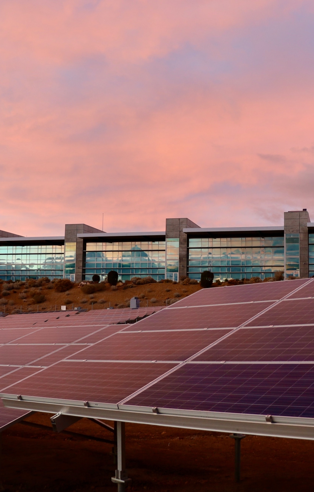 solar panels 