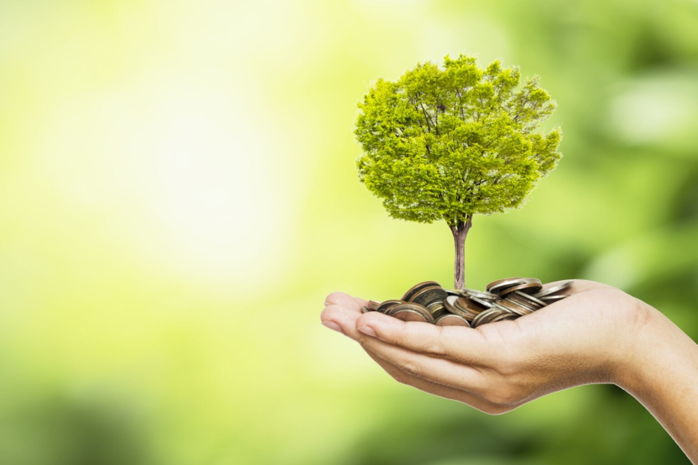 Tree in a hand