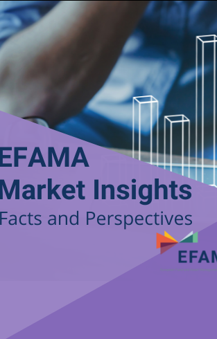 market insights 6