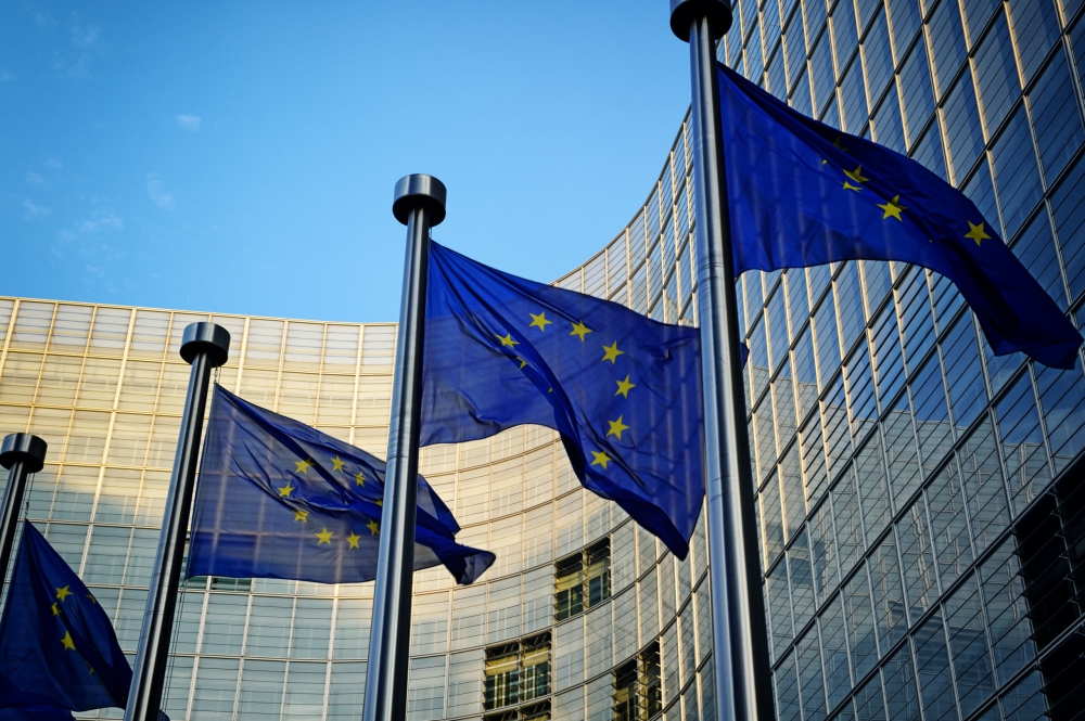 EU flags
