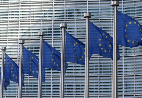 EU regulation picture
