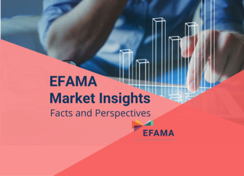 market insights 3