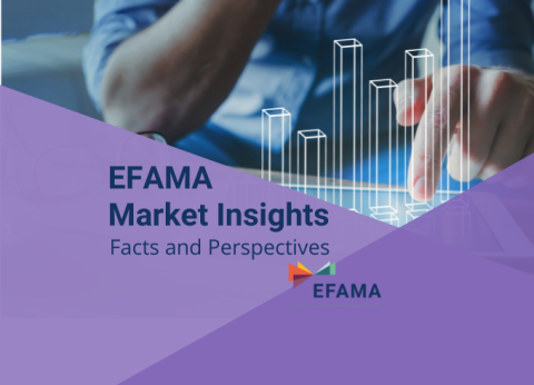 Market insights 6
