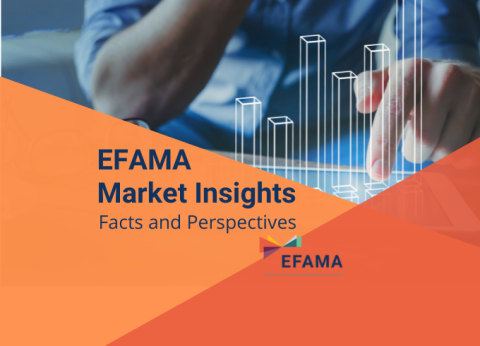 market insights 8