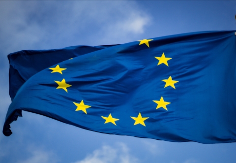 eu flag