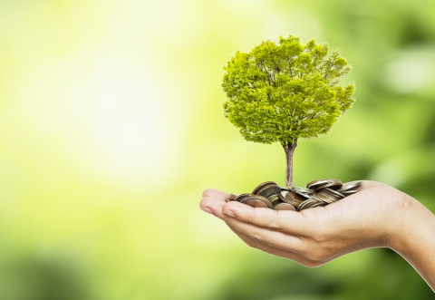 BMR; index providers; sustainable finance